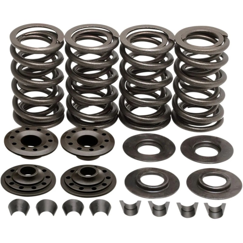 Racing Valve Spring Kit