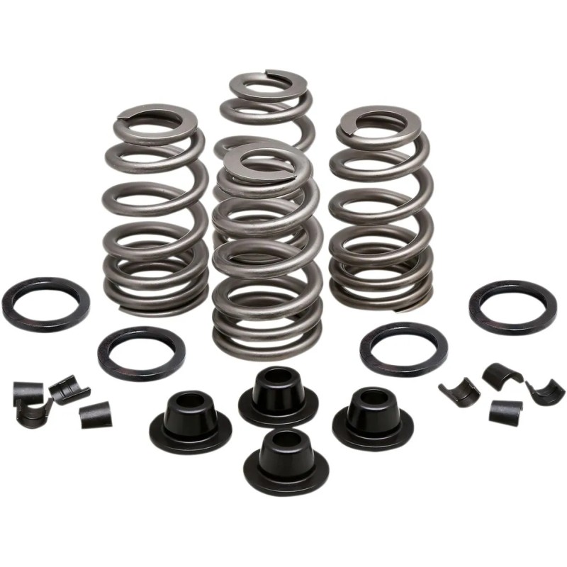 Beehive Valve  Spring Kit