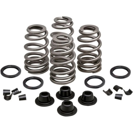 Beehive Valve  Spring Kit