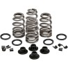 Beehive Valve  Spring Kit