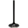 Black Diamond  Engine Valve
