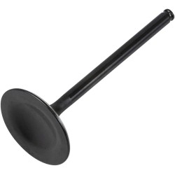 Black Diamond  Engine Valve