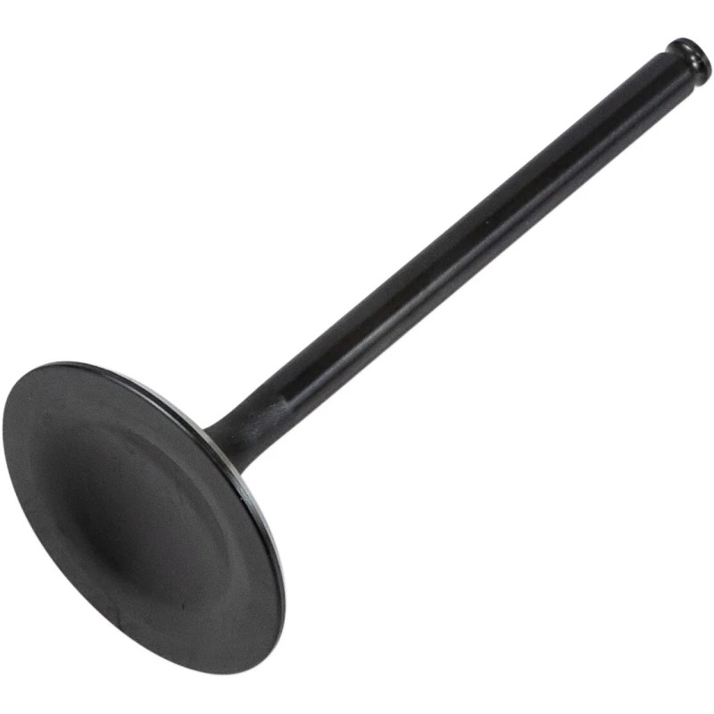Black Diamond  Engine Valve