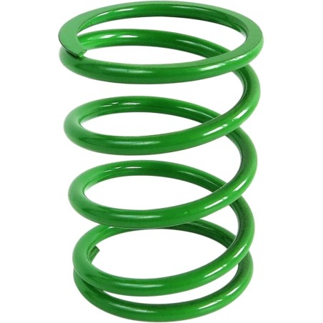 Primary Clutch Spring Polaris