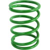 Primary Clutch Spring Polaris