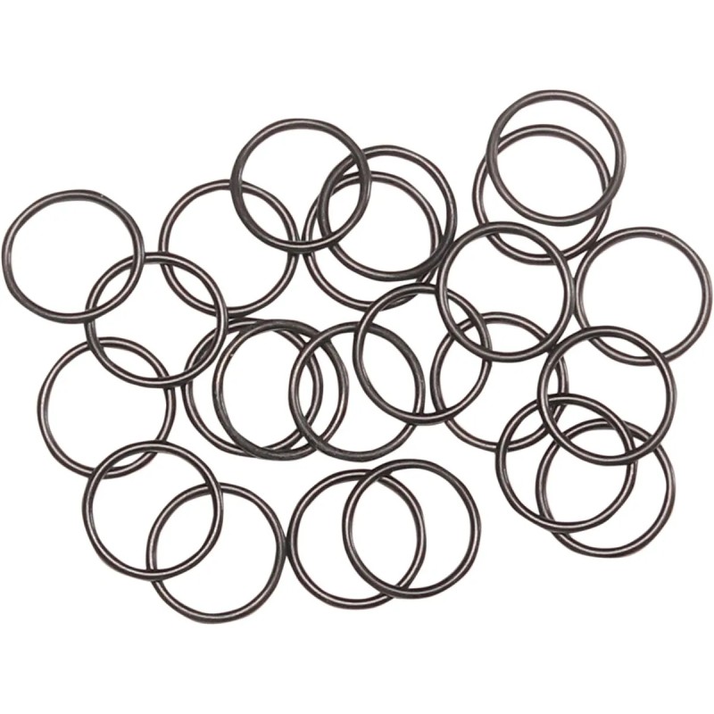 O-ring