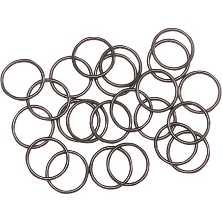O-ring