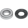 High Torque Bearing with Seal Kit