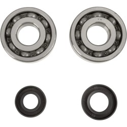 Crankshaft Bearing and Seal Kit