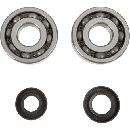 Crankshaft Bearing and Seal Kit
