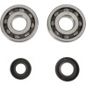 Crankshaft Bearing and Seal Kit