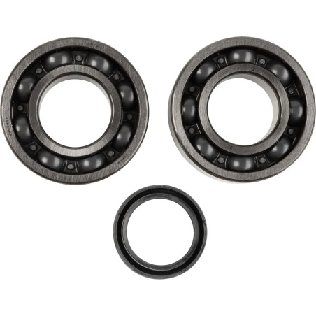 Crankshaft Bearing and Seal Kit