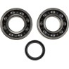 Crankshaft Bearing and Seal Kit