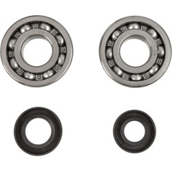 Crankshaft Bearing and Seal Kit