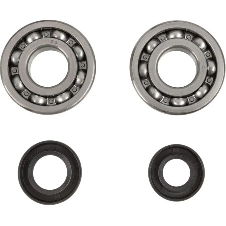 Crankshaft Bearing and Seal Kit