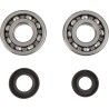 Crankshaft Bearing and Seal Kit