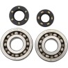 Main Crankshaft Bearing and Seal Kit