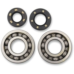 Main Crankshaft Bearing and Seal Kit