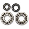 Main Crankshaft Bearing and Seal Kit