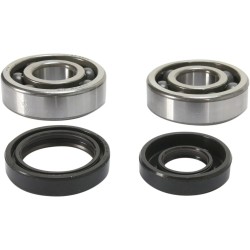 Crankshaft Bearing and Seal Kit