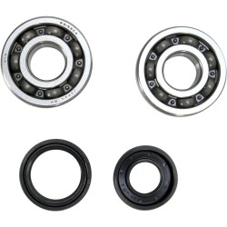 Crankshaft Bearing and Seal Kit