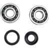 Crankshaft Bearing and Seal Kit