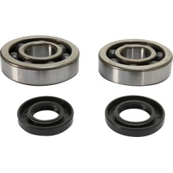 Crankshaft Bearing and Seal Kit