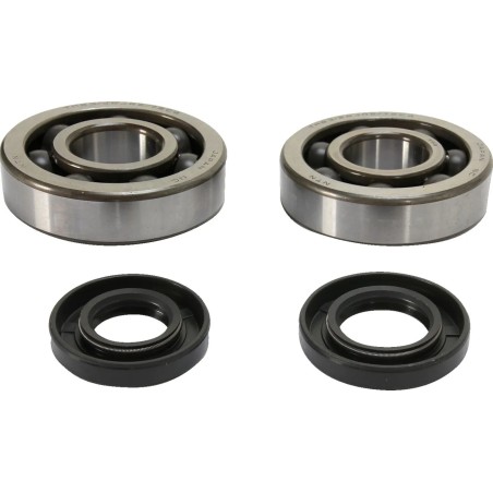 Crankshaft Bearing and Seal Kit