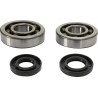 Crankshaft Bearing and Seal Kit