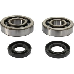 Crankshaft Bearing and Seal Kit
