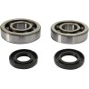 Crankshaft Bearing and Seal Kit