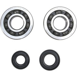 Crankshaft Bearing and Seal Kit
