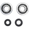 Crankshaft Bearing and Seal Kit