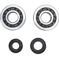 Crankshaft Bearing and Seal Kit