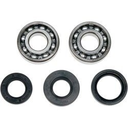 Crank Bearing Seal Kit