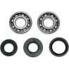 Crank Bearing Seal Kit