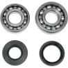 Crank Bearing Seal Kit