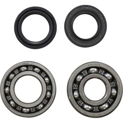 Main Bearing and Seal Kit