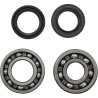 Main Bearing and Seal Kit