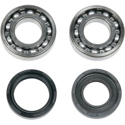 Crank Bearing Seal Kit