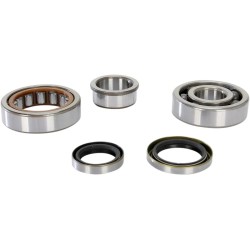 Crankshaft Bearing and Seal Kit