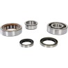 Crankshaft Bearing and Seal Kit