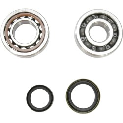 Crankshaft Bearing and Seal Kit
