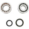 Crankshaft Bearing and Seal Kit