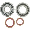Main Crankshaft Bearing and Seal Kit