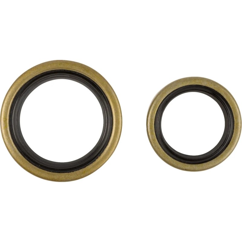 Crankshaft Oil Seal Kit
