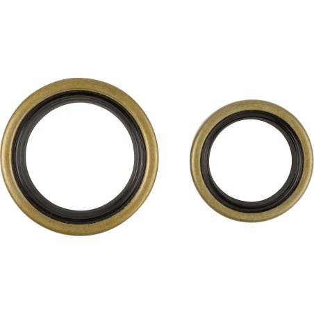Crankshaft Oil Seal Kit