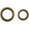 Crankshaft Oil Seal Kit