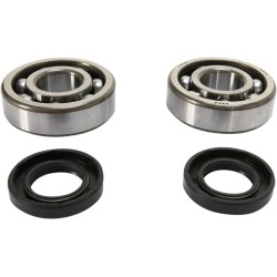 Crankshaft Bearing and Seal Kit