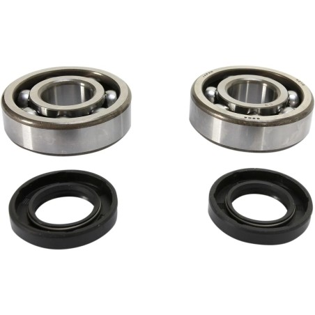 Crankshaft Bearing and Seal Kit